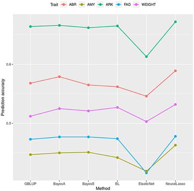 NeuralLasso: Neural Networks Meet Lasso in Genomic Prediction